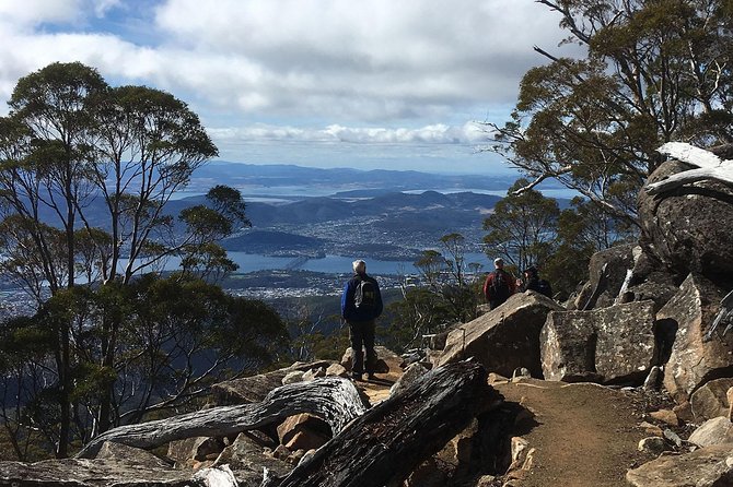 Kunanyi/Mt Wellington Explorer Bus - One Way Tour - Questions and Pricing