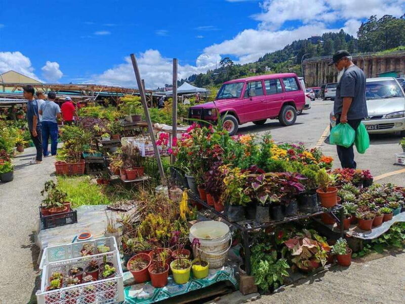 Kundasang : ATV Ride, Dairy Farm Visit & Meal Shared Tour - Practical Tips for Your Day Out