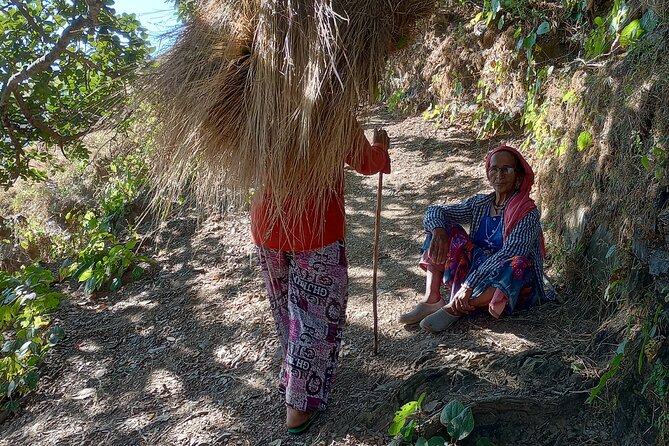 Kunjapuri Yoga Day Hike - Inclusions