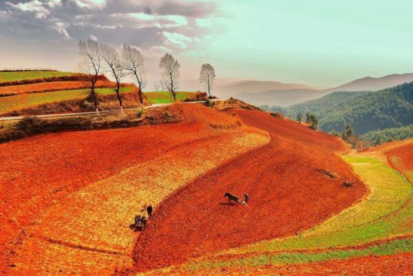 Kunming: 2-Day Dongchuan Red Land Photography Private Tour - The Sum Up