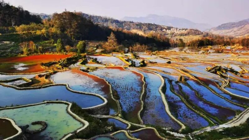 Kunming: 2-Day Honghe Hani Yuanyang Rice Terraces - The Experience in Detail