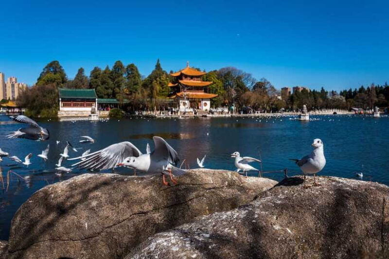 Kunming: 8-Day Yunnan Tour with Dali and Lijiang - FAQs