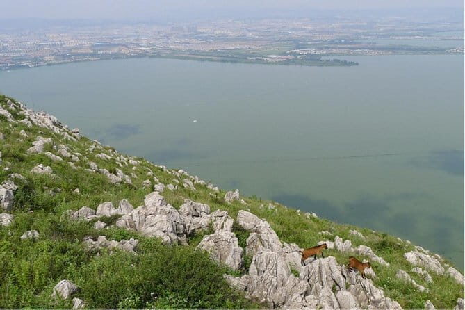 Kunming City Tour with Private Guide - The Sum Up