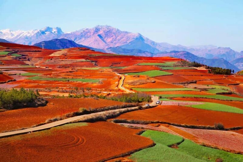 Kunming: Dongchuan Red Land Private Day Tour - Authentic Insights from Reviewers