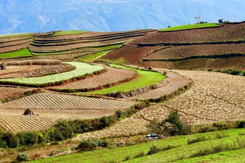 Kunming: Dongchuan Red Land Private Day Tour - Who Should Consider This Tour?