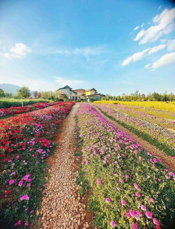 Kunming: Fuxian Lake Private Tour - Who Will Love This Tour?