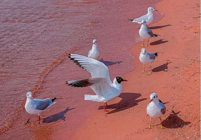 Kunming: Fuxian Lake Private Tour - An In-Depth Look at the Fuxian Lake Private Tour