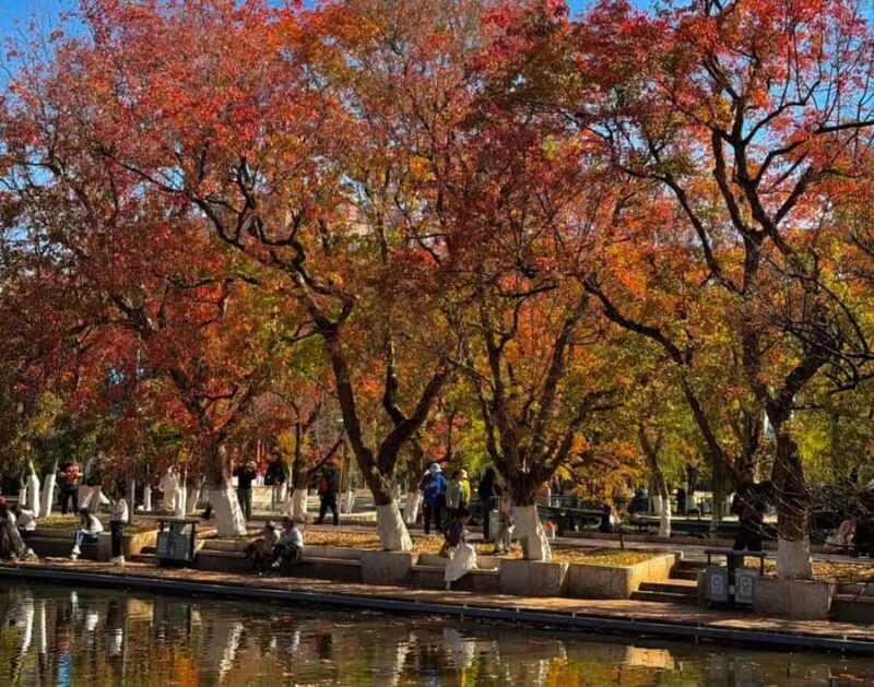 Kunming: Half-day tour of Bihu Lake and Yuantong Temple - Good To Know