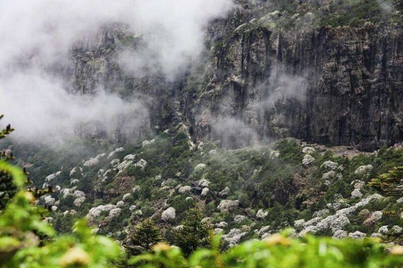 Kunming: Jiaozi (Sedan Chair) Snow Mountain Hiking Day Trip - Overview of the Experience