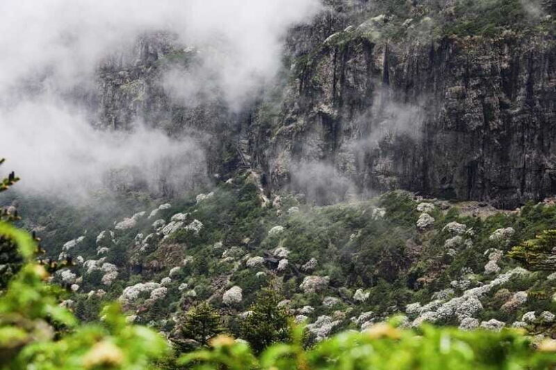 Kunming: Jiaozi (Sedan Chair) Snow Mountain Hiking Day Trip - Who Should Consider This Tour?