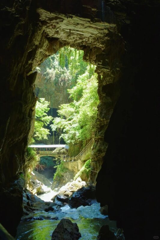 Kunming Jiuxiang Scenic Area Full-Day Tour - Lunch, then back to Kunming