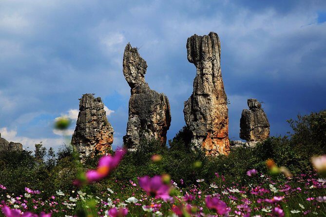 Kunming Private Day Tour to Stone Forest and Chengzi Ancient Town - Introduction: Why This Kunming Tour Works