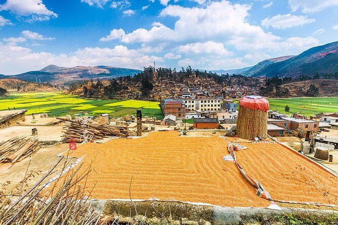 Kunming Private Day Tour to Stone Forest and Chengzi Ancient Town - The Itinerary in Detail