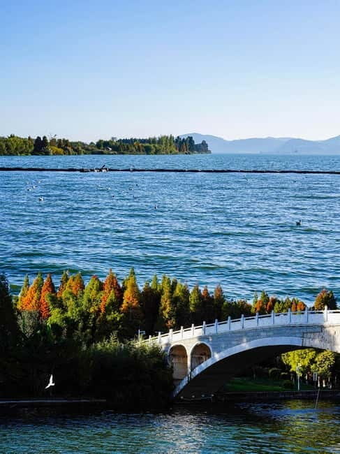 Kunming: Stone Forest and Dianchi Lake Day Trip with Lunch - Good To Know