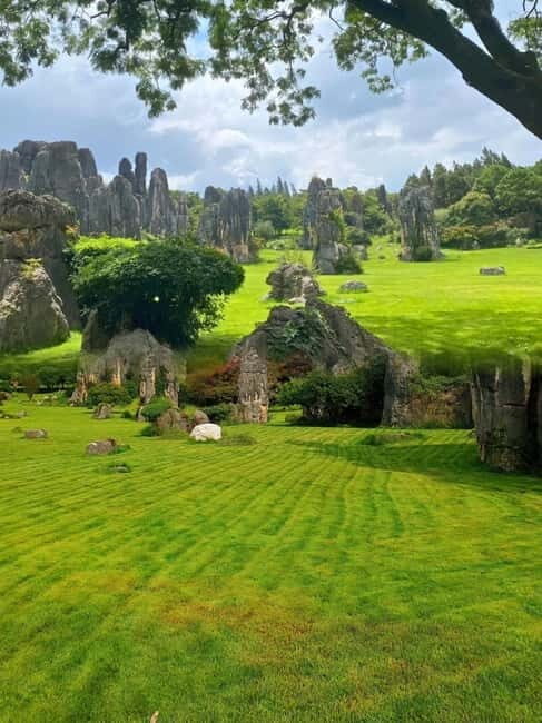 Kunming: Stone Forest and Dianchi Lake Day Trip with Lunch - Limitations and Considerations