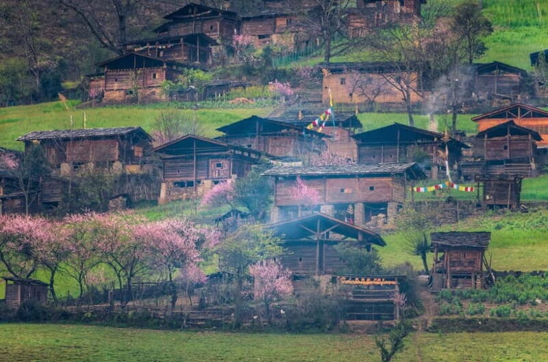 Kunming: Stone Forest & Chengzi Ancient Village Private Tour - Good To Know