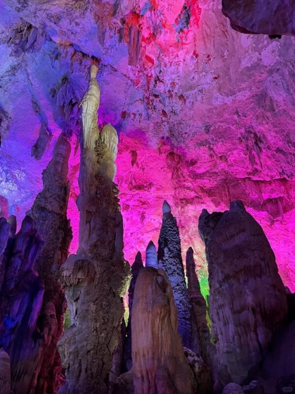 Kunming Stone Forest Day Tour (Group Tour) - Who should book this tour