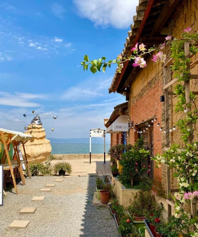 Kunming: Stone Forest & Dianci Lake fishing village tour - A Detailed Look at the Tour Experience