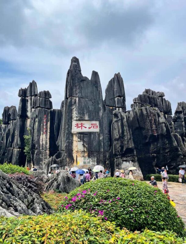 Kunming: Stone Forest Geopark Entry Ticket - What to Expect on the Day