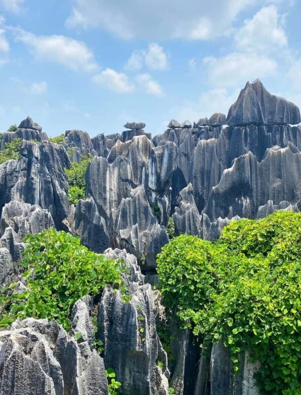 Kunming: Stone Forest Geopark Entry Ticket - Who Will Love This Experience?
