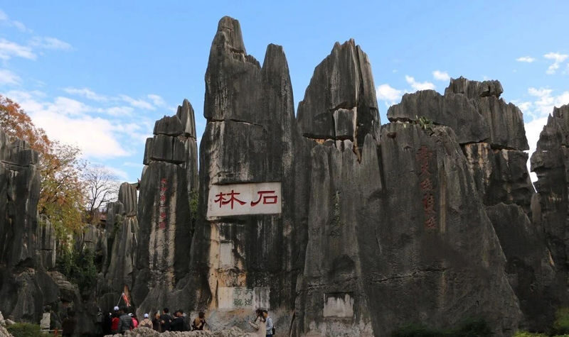 Kunming Stone Forest & Jiuxiang Full-Day Experience - Key points before you book
