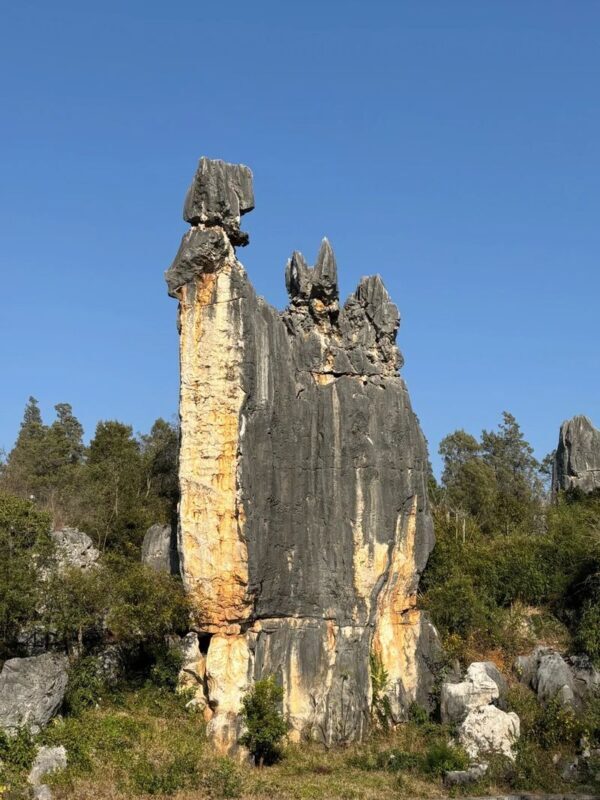 Kunming Stone Forest & Jiuxiang Full-Day Experience - The guide and lunch can shape the day