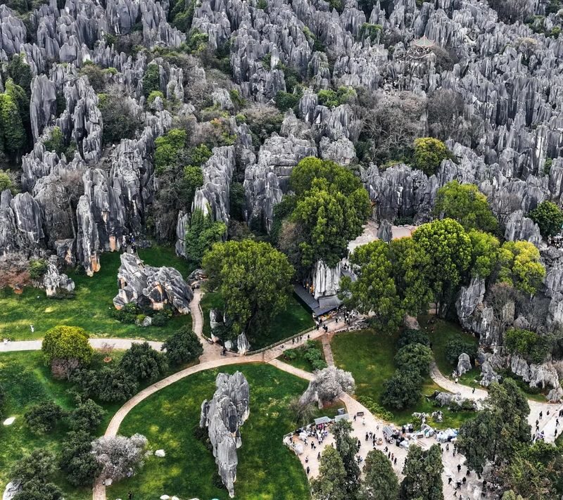 Kunming Stone Forest & Jiuxiang Full-Day Experience - Is $67.70 good value?