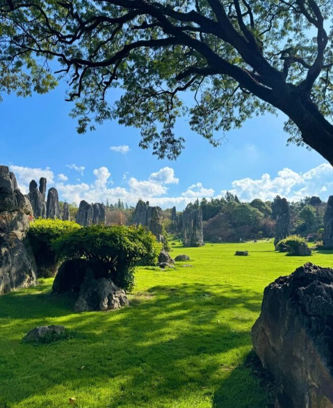 Kunming Stone Forest & Jiuxiang Full-Day Tour with Tickets - Lunch: simple local food, not a restaurant showcase