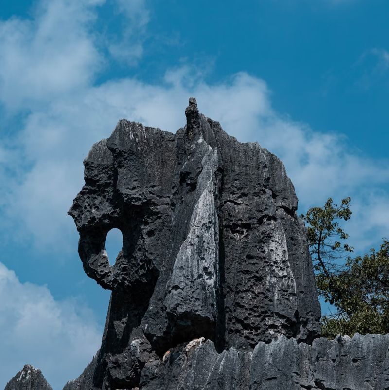 Kunming Stone Forest & Jiuxiang Full-Day Tour with Tickets - Is the tour worth $79.89?