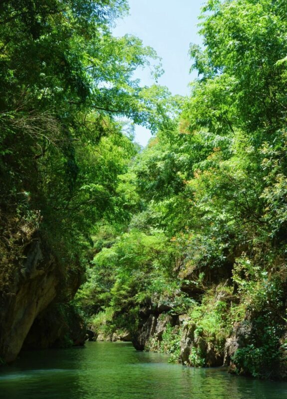 Kunming Stone Forest & Jiuxiang Full-Day Tour with Tickets - Who will appreciate this day most