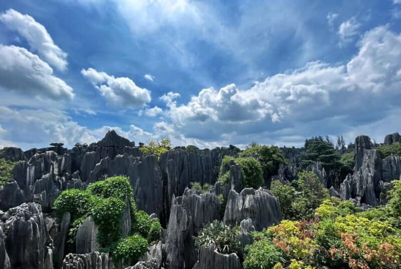 Kunming: Stone Forest, Roast Duck Lunch and City Tour - Exploring Kunming: Stone Forest, Roast Duck Lunch, and City Highlights — A Thoughtful Review