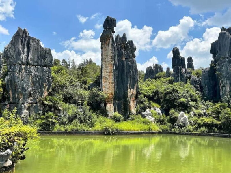 Kunming: Stone Forest, Roast Duck Lunch and City Tour - Good To Know