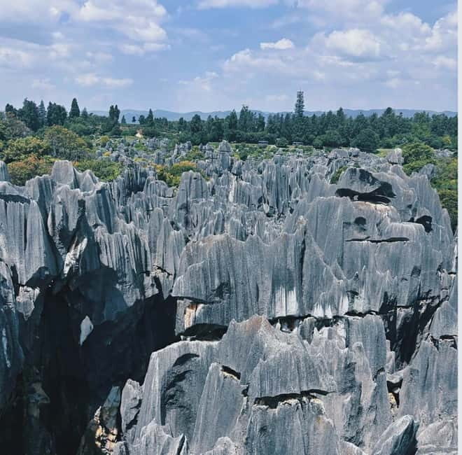 Kunming: Stone Forest, Roast Duck Lunch and City Tour - Who Will Love This Tour?