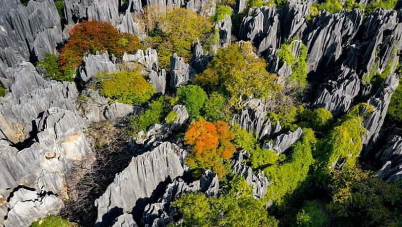 Kunming: Stone Forest, Roast Duck Lunch and City Tour - Final Thoughts