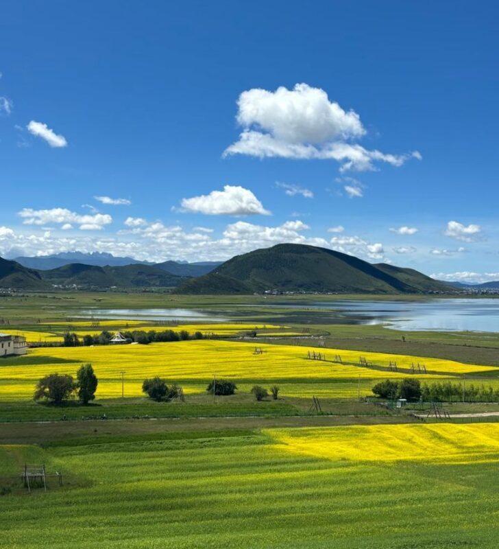 Kunming Yunnan: 8-Day Jade Dragon Snow Mountain & Shangri-La Exploration with Food Experience - At a glance