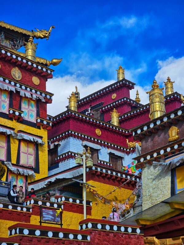 Kunming Yunnan: 8-Day Jade Dragon Snow Mountain & Shangri-La Exploration with Food Experience - Flower cake-making adds a hands-on food stop
