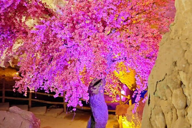 Kunming Yunnan One Day Tour of Jiuxiang - Final Thoughts