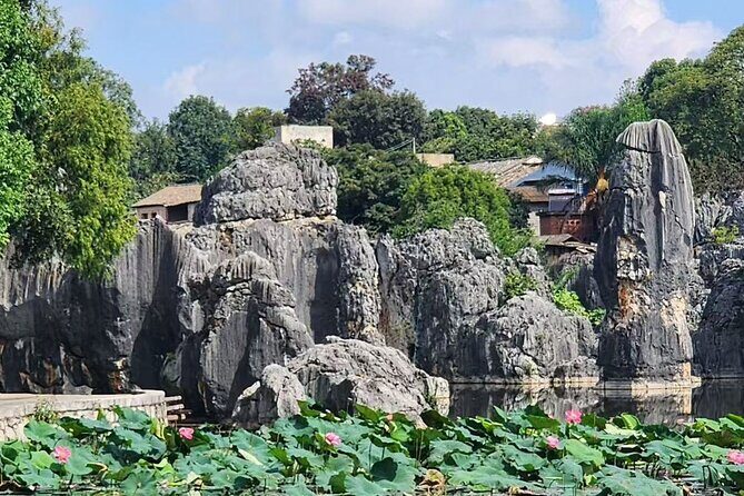 Kunming, Yunnan One Day Tour to Stone Forest Scenic Area - Good To Know  