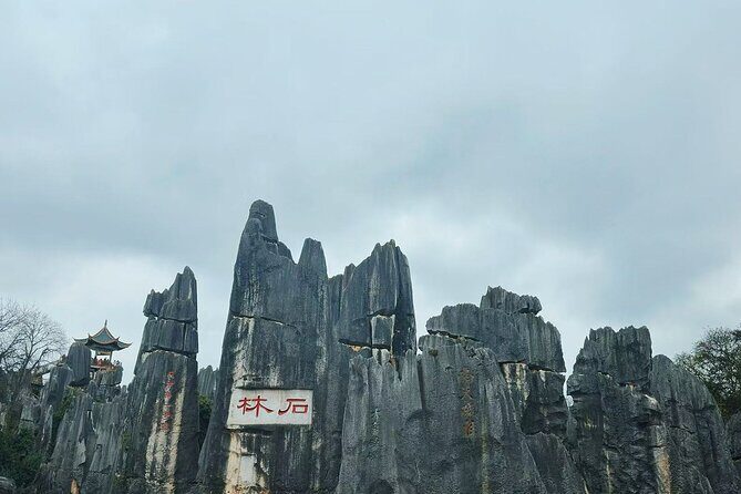 Kunming, Yunnan One Day Tour to Stone Forest Scenic Area - Who Should Book This Tour?