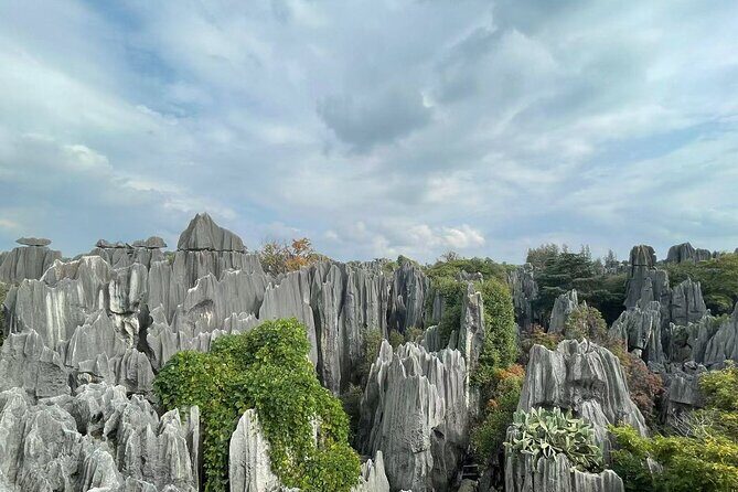 Kunming, Yunnan One Day Tour to Stone Forest Scenic Area - Good To Know