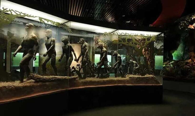 Kunming: Yunnan Provincial Museum & Dounan Flower Market - FAQ