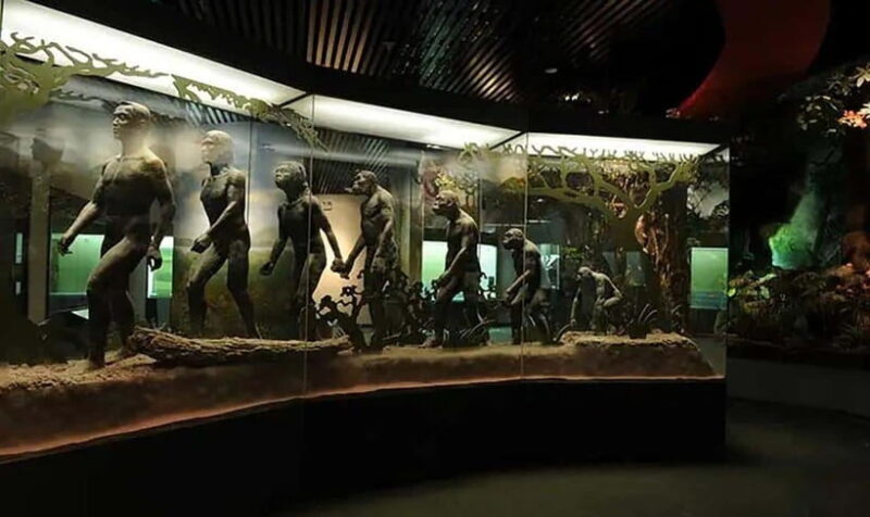 Kunming: Yunnan Provincial Museum Private Tour (Half Day) - What We Loved About the Experience