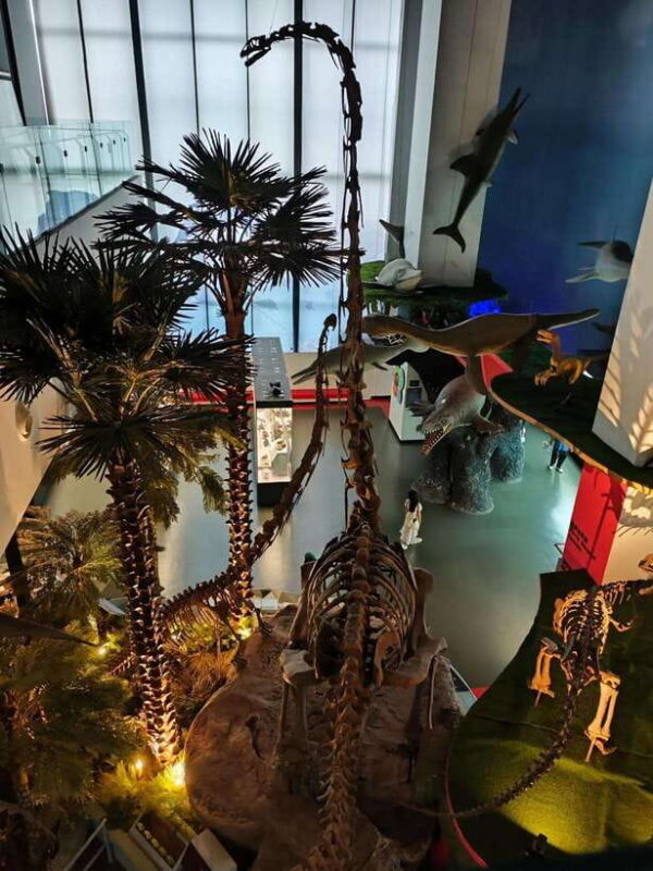 Kunming: Yunnan Provincial Museum Private Tour (Half Day) - An In-Depth Look at the Yunnan Provincial Museum Private Tour