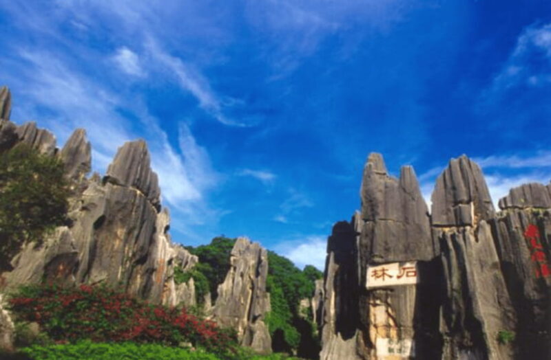 KunmingStone Forest Private Tour:Scenic Walks+Guide Insights - Good To Know