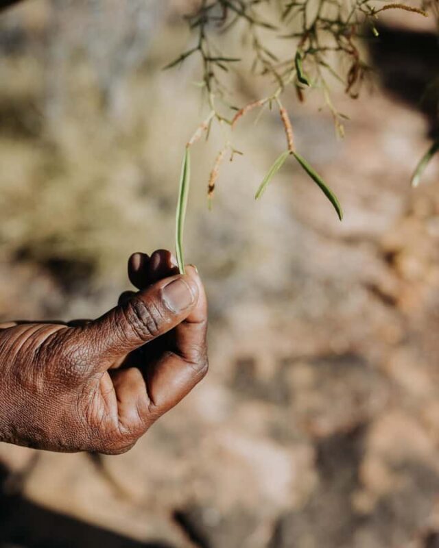 Kununurra: 2-Day Bungle Bungle Ranges 4WD Safari - Practicalities and Tips