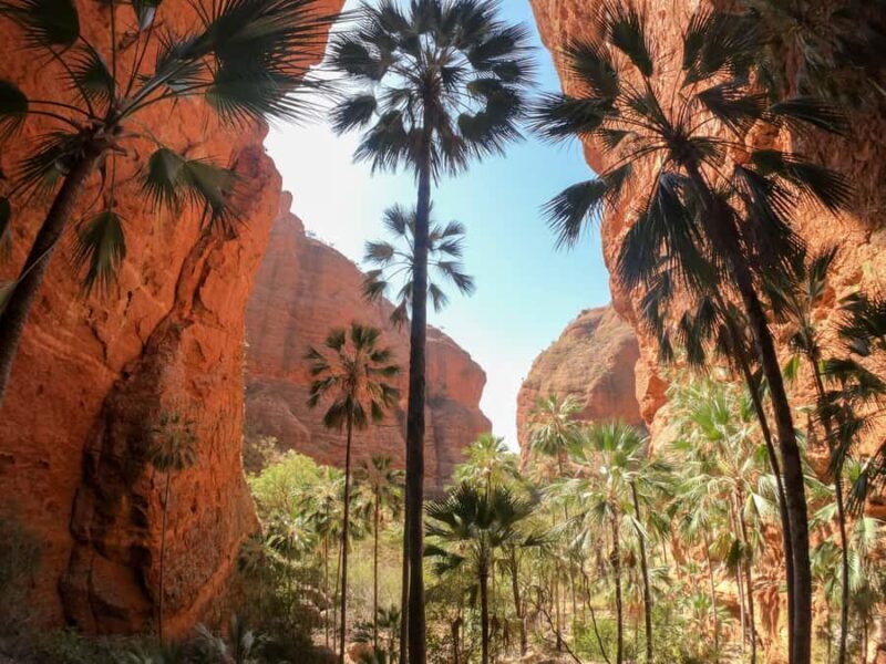 Kununurra: 2-Day Bungle Bungle Ranges 4WD Safari - Final Thoughts