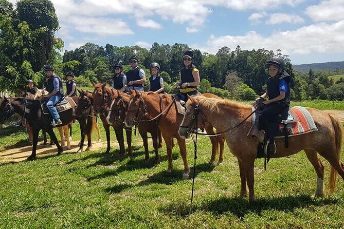 Kuranda 60 minute Horse Trail Ride and Petting Farm - Authentic Traveler Perspectives