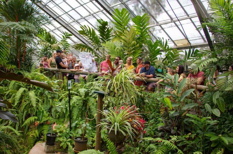 Kuranda: Australian Butterfly Sanctuary - A Closer Look at the Experience