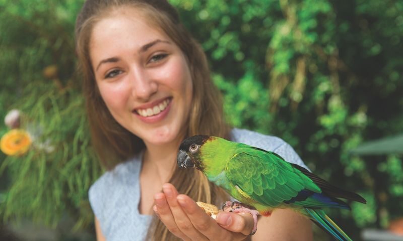 Kuranda Bird World Ticket in Cairns - Kuranda Bird World at a glance