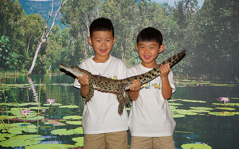 Kuranda Bird World Ticket in Cairns - Getting to 8 Rob Veivers Drive